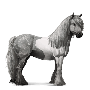 cheval de selle paint horse pie tobiano gris souris