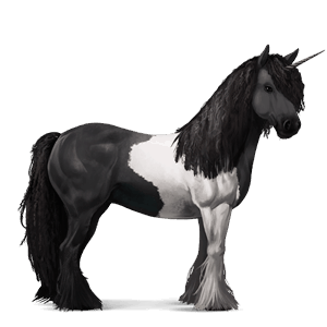licorne de selle nokota pie overo noir