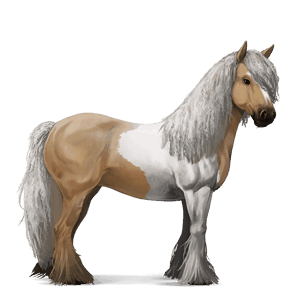 cheval de selle tinker pie tobiano palomino
