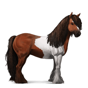 cheval de selle lusitanien bai cerise