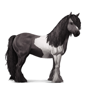 cheval de selle tinker pie tobiano gris souris
