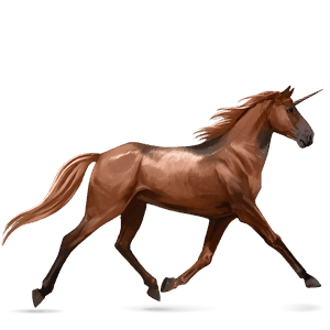 licorne de selle trotteur français bai brûlé