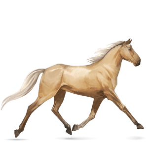 cheval de selle frison noir