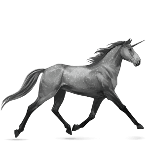 licorne de selle kwpn gris pommelé