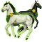 [img=https://gaia.equideow.com/media/equideo/image//chevaux/local/100490/60.png]