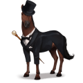 cheval de selle docteur fou