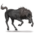 cheval de selle cheval-garou