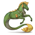 poney triton