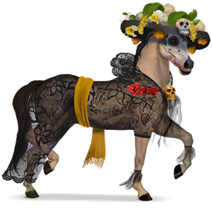 cheval de selle anciana