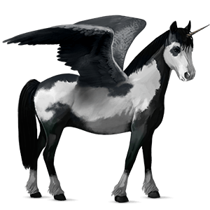 poney licorne ailé pottok pie overo noir