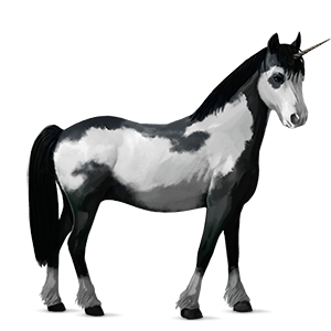 poney licorne poney de terre-neuve rouan