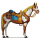 poney plaine