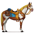 cheval de selle plaine