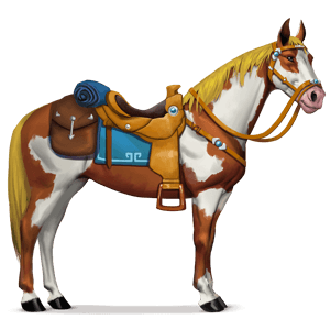 cheval de selle plaine