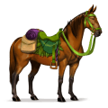 poney forêt