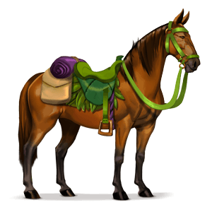 cheval de selle forêt