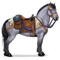 cheval de selle montagne