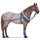 poney plaine