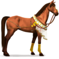 cheval de selle désert