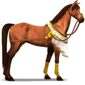 cheval de selle désert