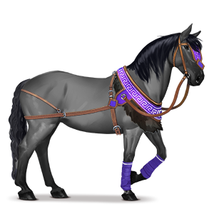 cheval de selle montagne