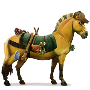 cheval de selle forêt