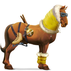 poney désert