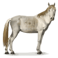 cheval sauvage cheval d'ainos