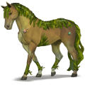 cheval divin alga