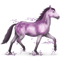 cheval des pierres précieuses améthyste