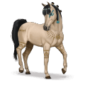 cheval spécial amira