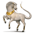 cheval divin apophis