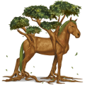 cheval spécial yggdrasil