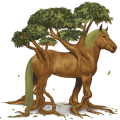 cheval spécial yggdrasil