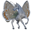 cheval de selle arabe aubère