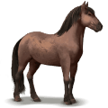 cheval sauvage banker