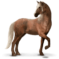 cheval sauvage brumby