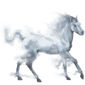 cheval de l'eau brume