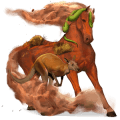 poney fjord brunblakk