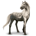 cheval sauvage camargue