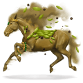 cheval divin cardamome