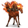 cheval de selle arabe bai
