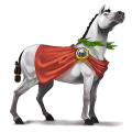 cheval de selle hunter irlandais alezan