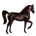 cheval de selle hanovrien alezan crins lavés
