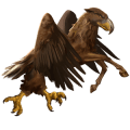 cheval sauvage aigle