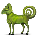 cheval sauvage caméléon