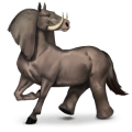 cheval sauvage Éléphant