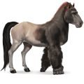 cheval sauvage gorille