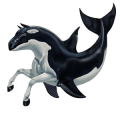 cheval sauvage orque
