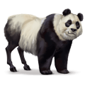 cheval sauvage panda